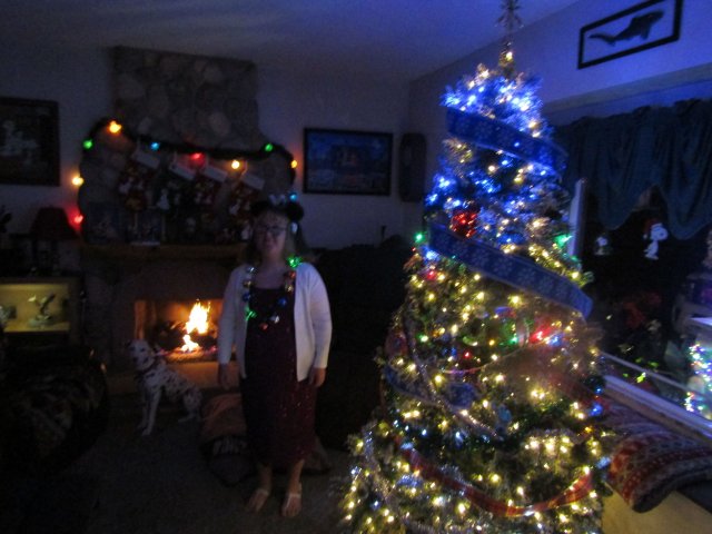 Our house and Christmas lights 